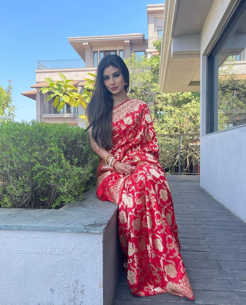 saree (12)