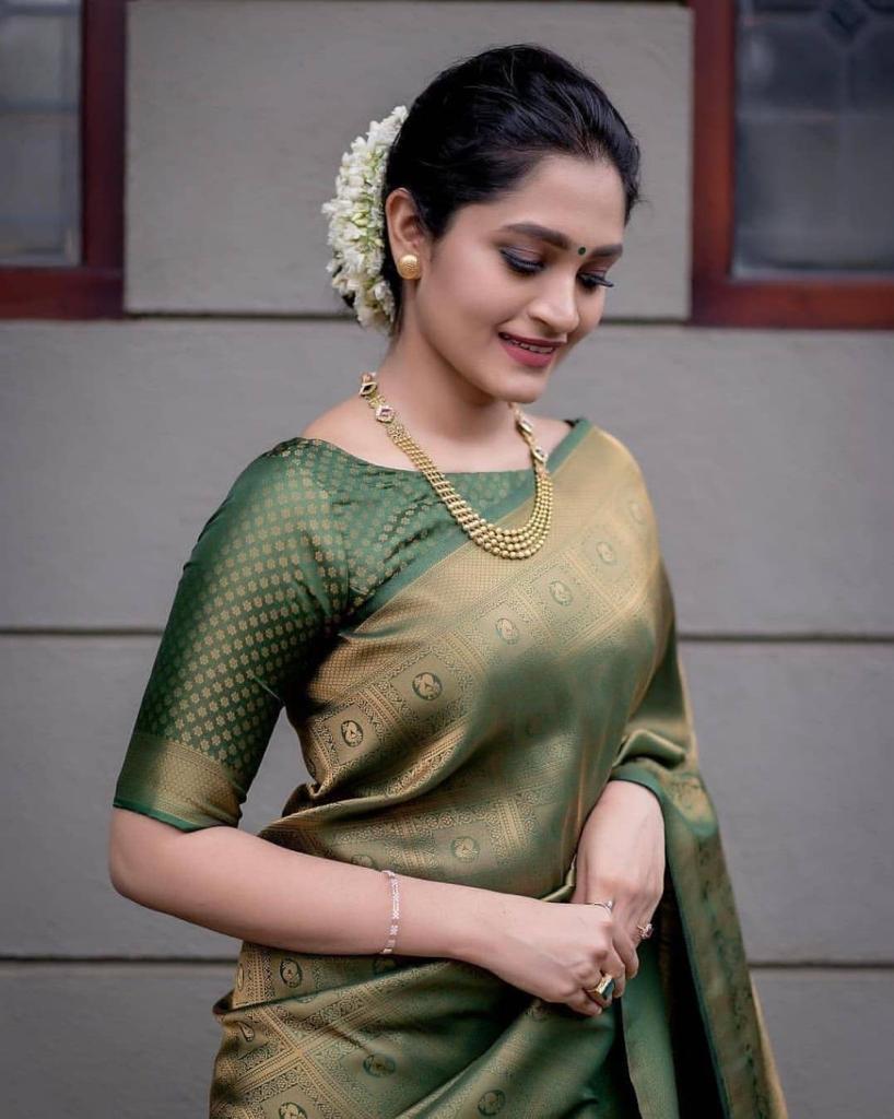 saree (16)