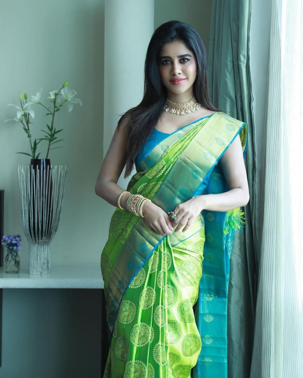 saree (3)